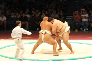 IMG_0258 IMG_0258