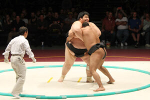 IMG_0261 IMG_0261