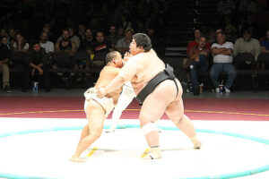 IMG_0349 IMG_0349