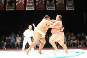 IMG_0389 IMG_0389